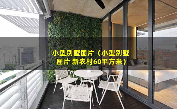 小型别墅图片（小型别墅图片 新农村60平方米）